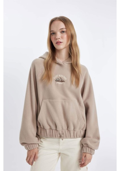 Coool Loose Fit Kapüşonlu Kanguru Cepli Polar Sweatshirt C8197AX24WN