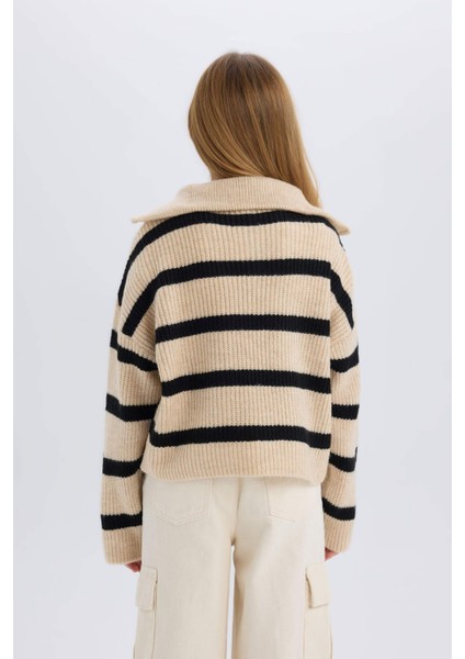 Kız Çocuk Standart Fit Dik Yaka Fermuarlı Çizgili Triko Kazak C9664A824WN