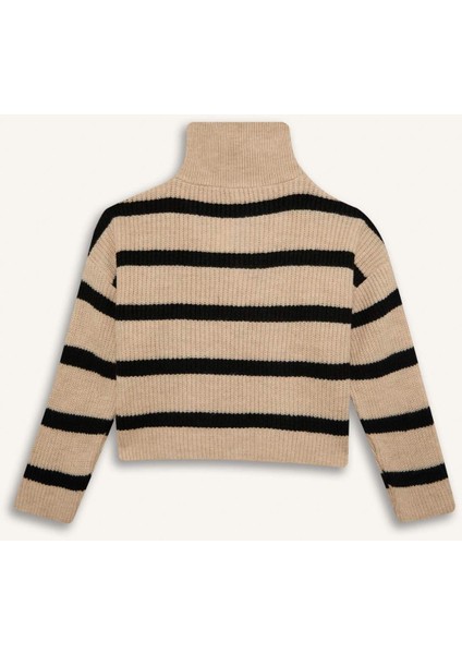 Kız Çocuk Standart Fit Dik Yaka Fermuarlı Çizgili Triko Kazak C9664A824WN