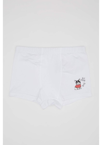 Erkek Çocuk Desenli 3'lü Boxer C4102A824SM