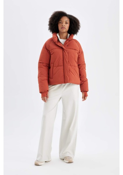 Fit Su Geçirmez Regular Fit Dik Yaka Reglan Kol Kışlık Şişme Mont A1550AX24WN