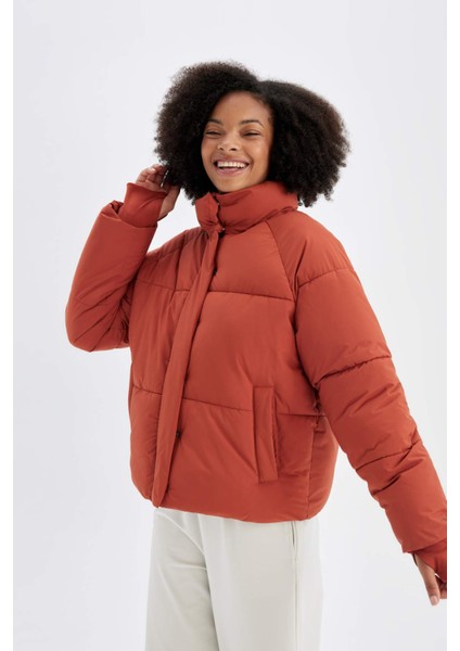 Fit Su Geçirmez Regular Fit Dik Yaka Reglan Kol Kışlık Şişme Mont A1550AX24WN