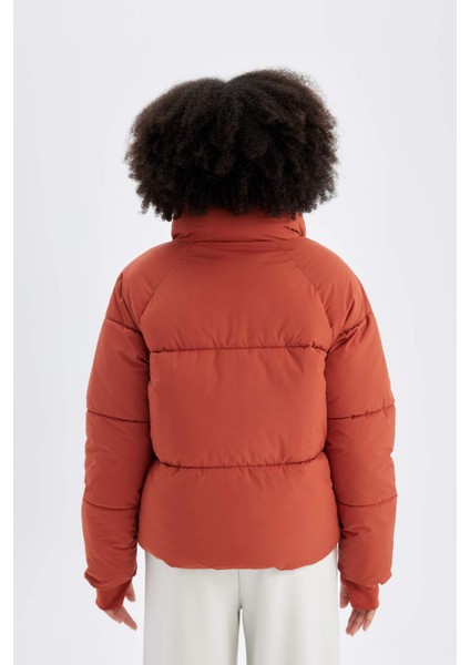 Fit Su Geçirmez Regular Fit Dik Yaka Reglan Kol Kışlık Şişme Mont A1550AX24WN