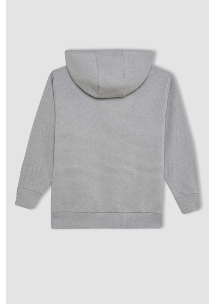 Erkek Çocuk Kapüşonlu Okul Fermuarlı Sweatshirt T7468A624AU