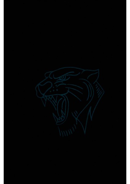 Erkek Çocuk Bisiklet Yaka Renk Şekil Değiştiren Baskılı Kısa Kollu Tişört