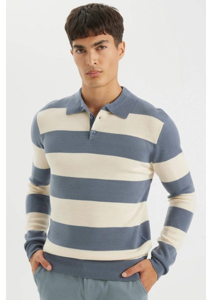 Standart Fit Polo Yaka Düğmeli Renk Bloklu Triko Kazak Y4194AZ24WN