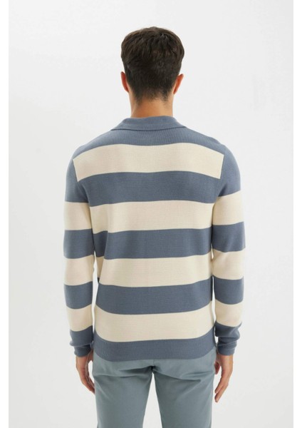 Standart Fit Polo Yaka Düğmeli Renk Bloklu Triko Kazak Y4194AZ24WN