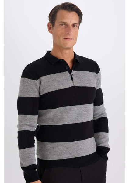 Standart Fit Polo Yaka Düğmeli Renk Bloklu Triko Kazak Y4194AZ24WN