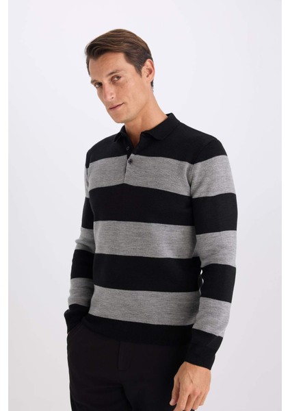 Standart Fit Polo Yaka Düğmeli Renk Bloklu Triko Kazak Y4194AZ24WN