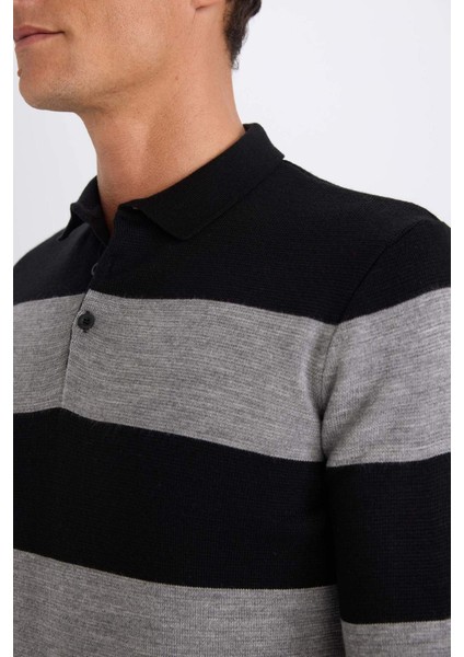 Standart Fit Polo Yaka Düğmeli Renk Bloklu Triko Kazak Y4194AZ24WN