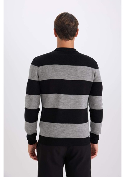 Standart Fit Polo Yaka Düğmeli Renk Bloklu Triko Kazak Y4194AZ24WN