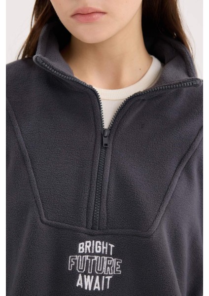 Oversize Geniş Kalıp Fermuarlı Dik Yaka Nakışlı Polar Sweatshirt