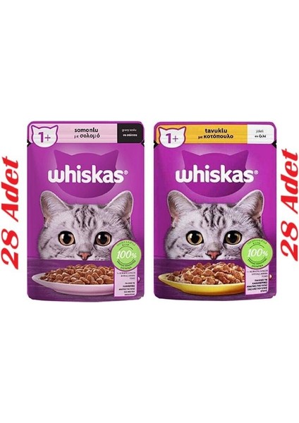 Pouch Jöle Içerisinde Tavuklu -Somonlu Yetişkin Konserve Kedi Maması 85 Gr*56 Adet