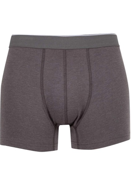 Regular Fit 3'lü Boxer C9550AX24AU