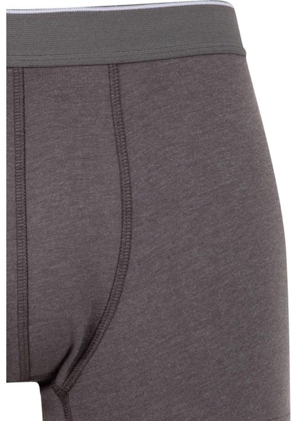 Regular Fit 3'lü Boxer C9550AX24AU