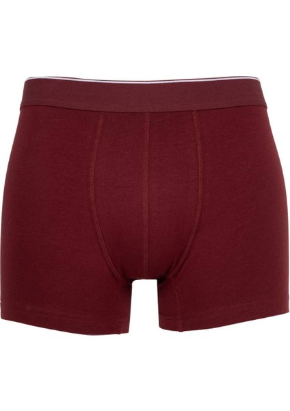 Regular Fit 3'lü Boxer C9550AX24AU