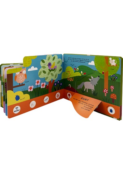 Bul ve Göster Pop-up - Orman Kâşifleri (Büyük Boy) indirimleri