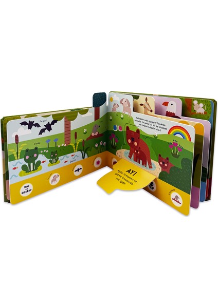 Bul ve Göster Pop-up - Orman Kâşifleri (Büyük Boy) fırsatları