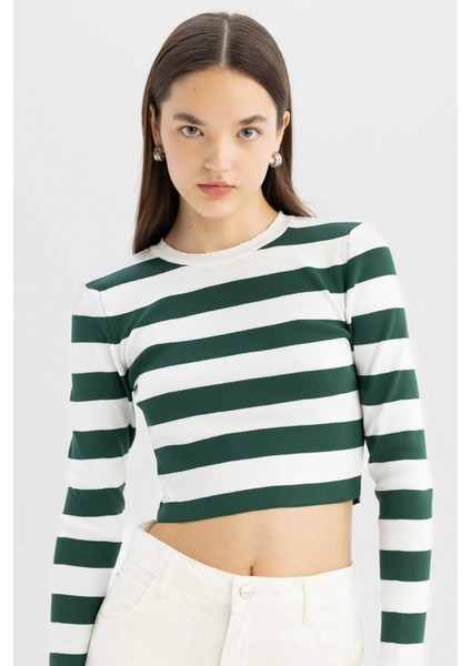 Slim Fit Dar Kesim Çizgili Bisiklet Yaka Triko Kazak X6888AZ24WN