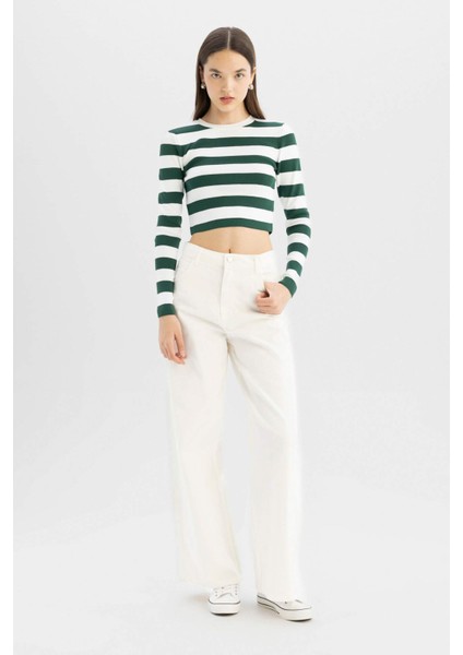 Slim Fit Dar Kesim Çizgili Bisiklet Yaka Triko Kazak X6888AZ24WN