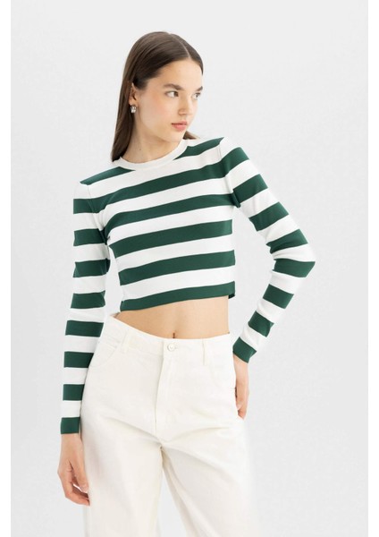 Slim Fit Dar Kesim Çizgili Bisiklet Yaka Triko Kazak X6888AZ24WN