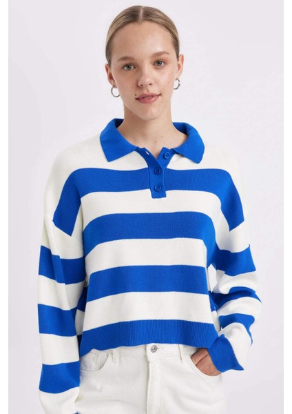 Regular Fit Polo Yaka Düğmeli Çizgili Triko Kazak A2357AX24WN