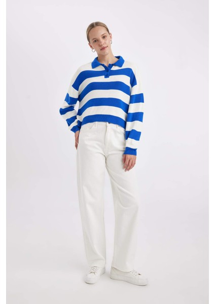 Regular Fit Polo Yaka Düğmeli Çizgili Triko Kazak A2357AX24WN