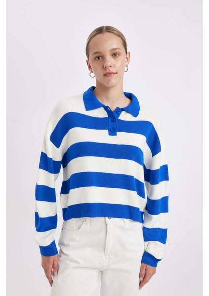 Regular Fit Polo Yaka Düğmeli Çizgili Triko Kazak A2357AX24WN