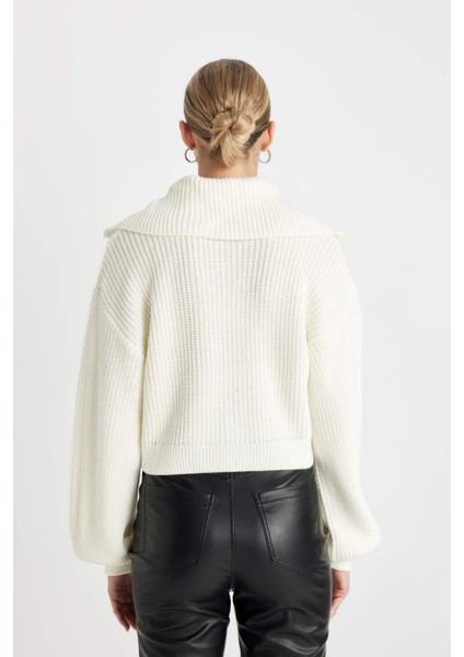 Slim Fit Dar Kesim Dik Yaka Basic Düz Fermuarlı Triko Hırka A3333AX24WN