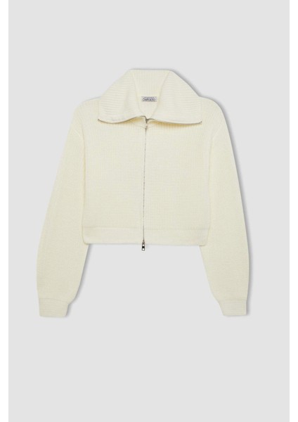 Slim Fit Dar Kesim Dik Yaka Basic Düz Fermuarlı Triko Hırka A3333AX24WN