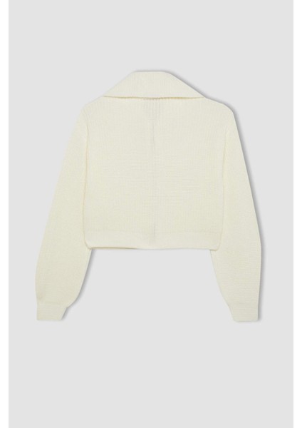 Slim Fit Dar Kesim Dik Yaka Basic Düz Fermuarlı Triko Hırka A3333AX24WN