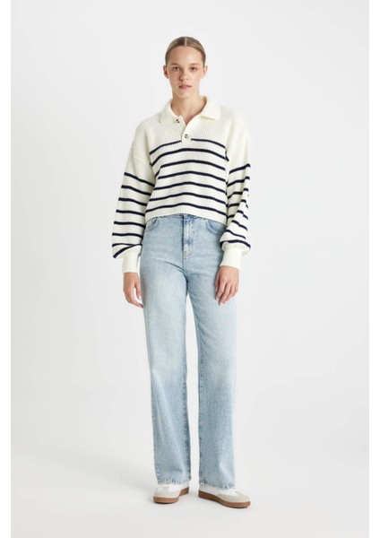 Relax Fit Polo Yaka Yarım Düğmeli Çizgili Triko Kazak C4918AX24WN