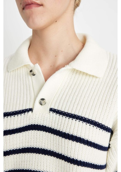 Relax Fit Polo Yaka Yarım Düğmeli Çizgili Triko Kazak C4918AX24WN