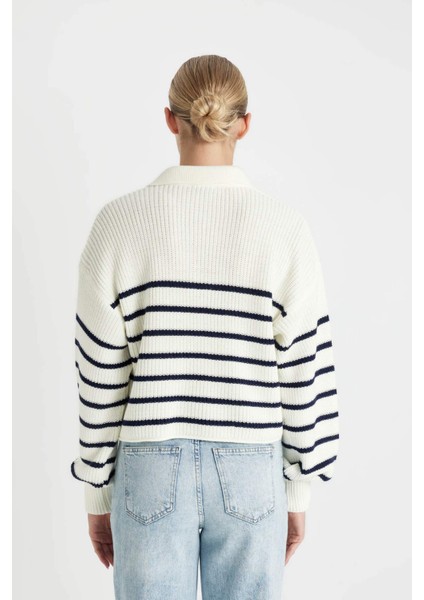 Relax Fit Polo Yaka Yarım Düğmeli Çizgili Triko Kazak C4918AX24WN