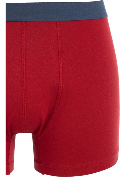 Regular Fit 3'lü Boxer C9560AX24WN