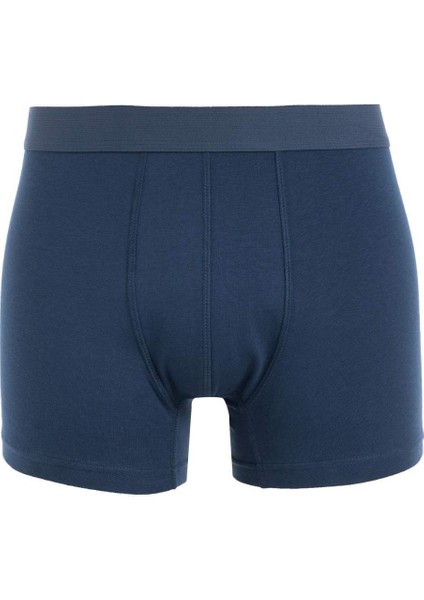 Regular Fit 3'lü Boxer C9560AX24WN