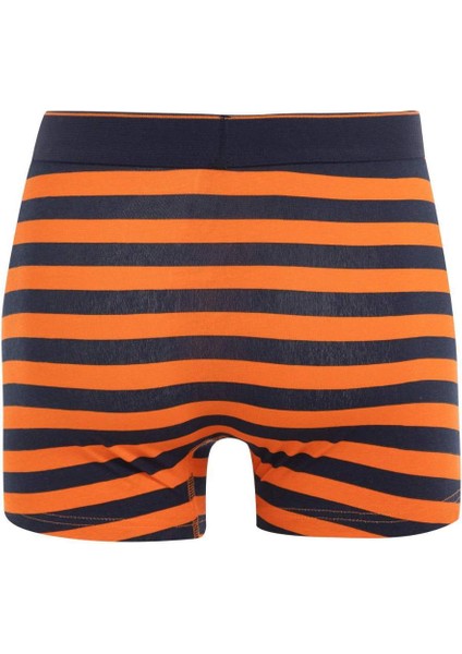 Erkek Çizgili 3'lü Boxer C9567AX24WN