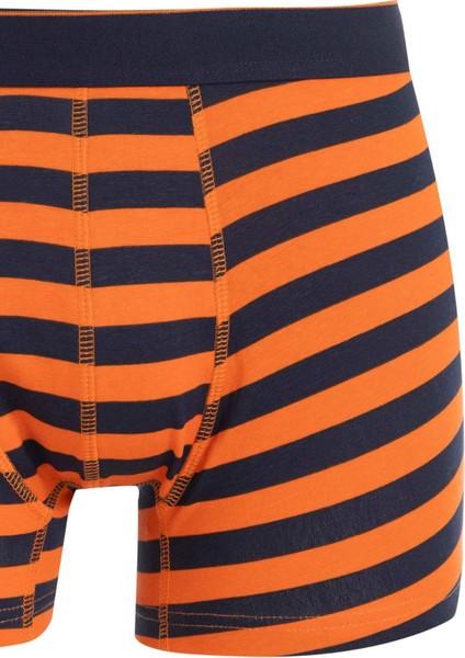 Erkek Çizgili 3'lü Boxer C9567AX24WN