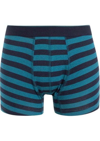Erkek Çizgili 3'lü Boxer C9567AX24WN