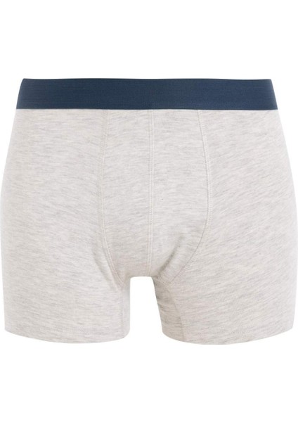 Regular Fit 3'lü Boxer C9560AX24WN