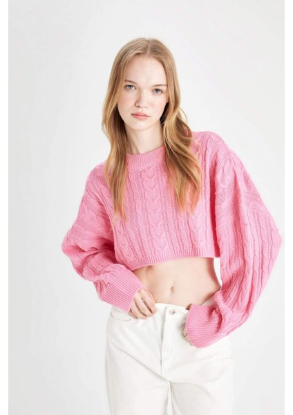 Coool Regular Fit Crop Bisiklet Yaka Saç Örgülü Triko Kazak T4518AZ24WN