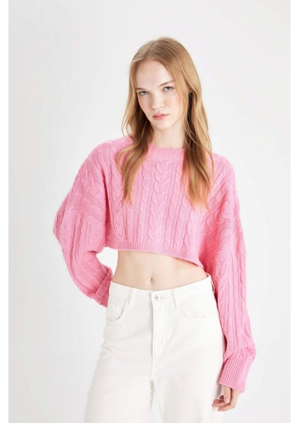 Coool Regular Fit Crop Bisiklet Yaka Saç Örgülü Triko Kazak T4518AZ24WN