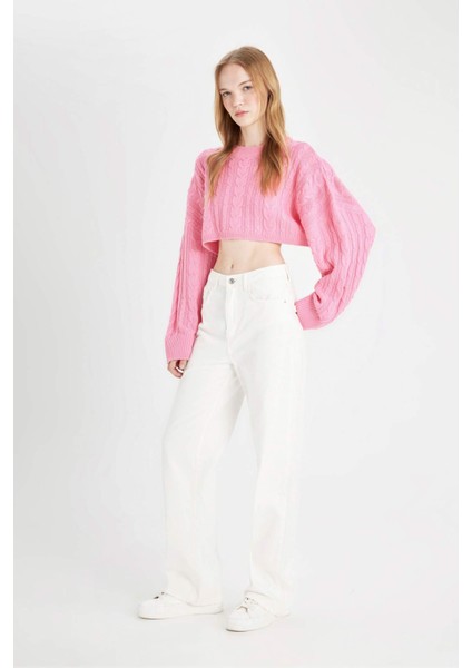 Coool Regular Fit Crop Bisiklet Yaka Saç Örgülü Triko Kazak T4518AZ24WN