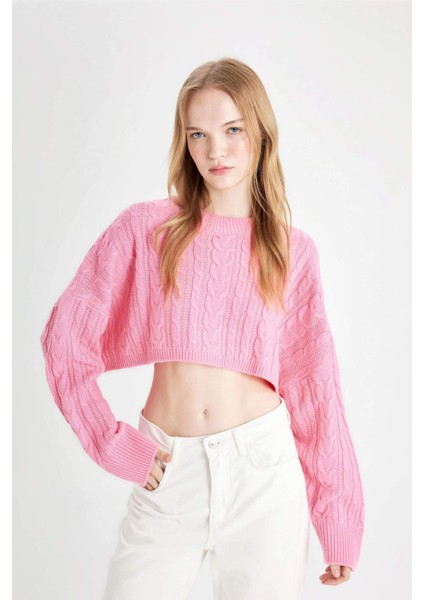 Coool Regular Fit Crop Bisiklet Yaka Saç Örgülü Triko Kazak T4518AZ24WN