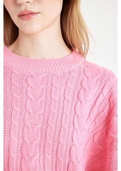 Coool Regular Fit Crop Bisiklet Yaka Saç Örgülü Triko Kazak T4518AZ24WN