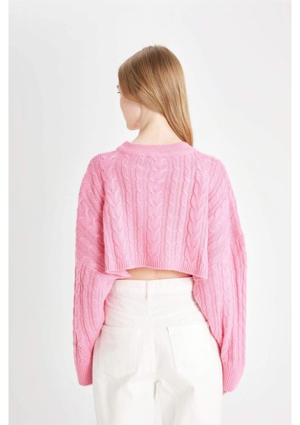 Coool Regular Fit Crop Bisiklet Yaka Saç Örgülü Triko Kazak T4518AZ24WN