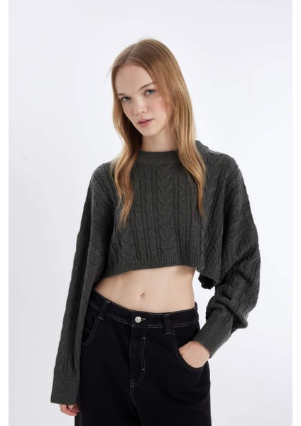 Coool Regular Fit Crop Bisiklet Yaka Saç Örgülü Triko Kazak T4518AZ24WN