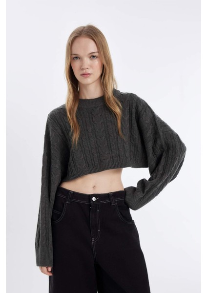 Coool Regular Fit Crop Bisiklet Yaka Saç Örgülü Triko Kazak T4518AZ24WN