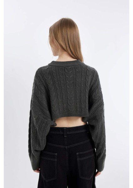 Coool Regular Fit Crop Bisiklet Yaka Saç Örgülü Triko Kazak T4518AZ24WN