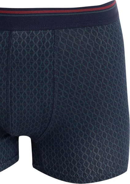 Regular Fit Kareli 3'lü Boxer C9561AX24WN